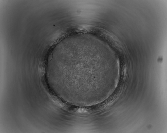 X0000101090751200807101548