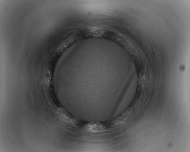 X0000101090752200807101548