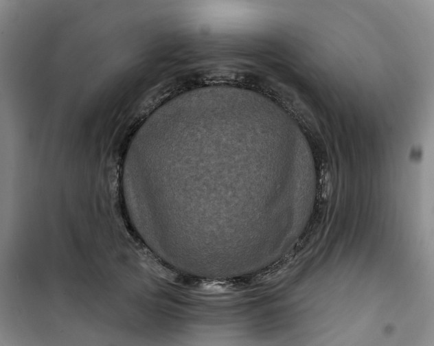 X0000101090753200807101548