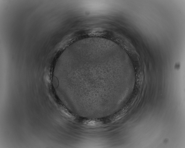 X0000101090755200807101548