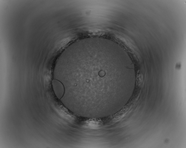 X0000101090756200807101548