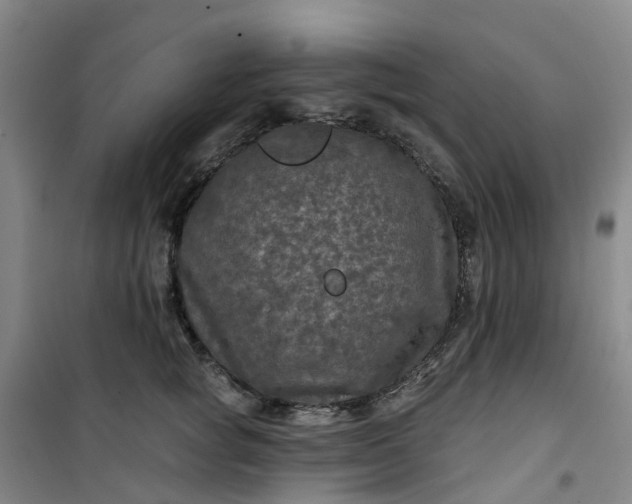 X0000101090757200807101548