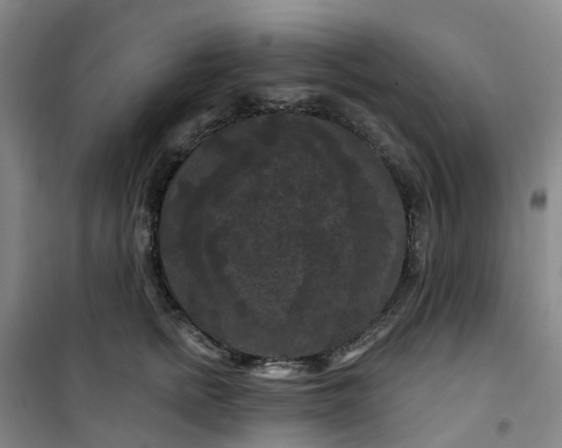 X0000101090758200807101548