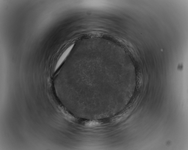 X0000101090759200807101548