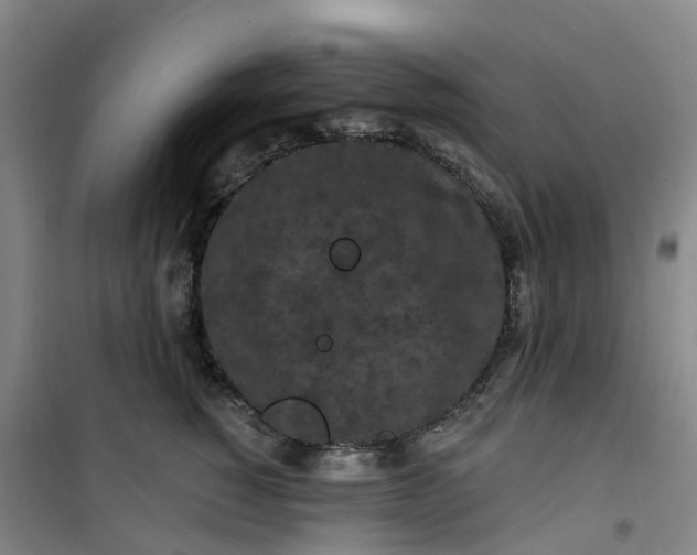 X0000101090760200807101548