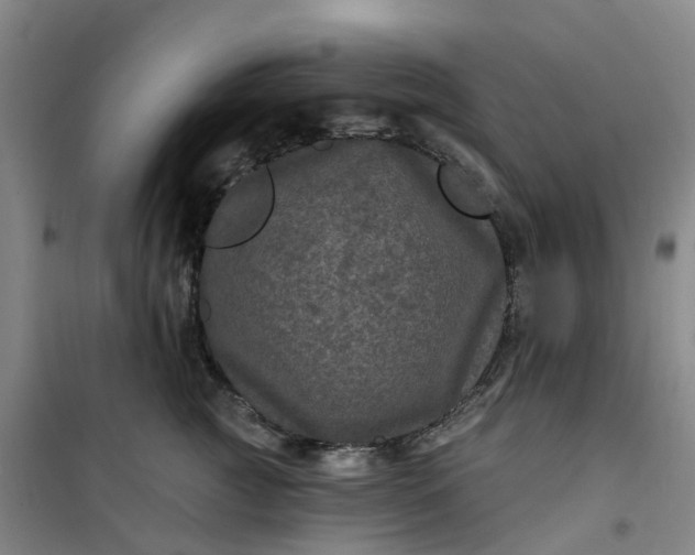 X0000101090761200807101548