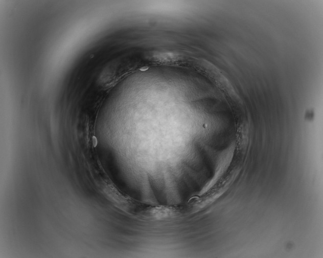 X0000101090762200807101548