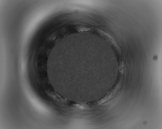 X0000101090763200807101548