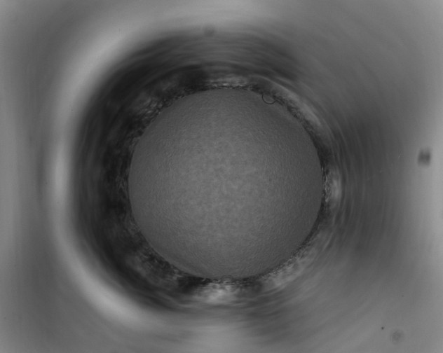 X0000101090764200807101548