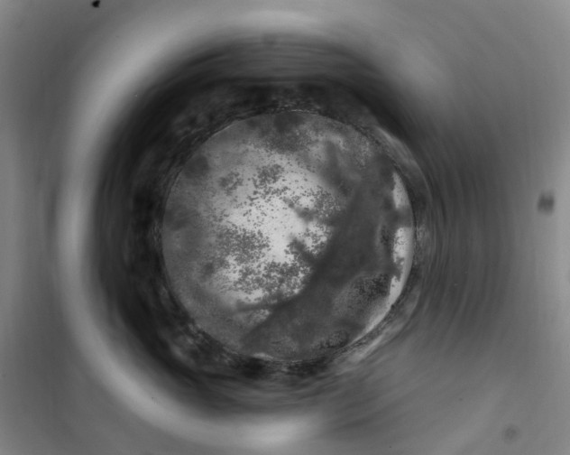 X0000101090765200807101548