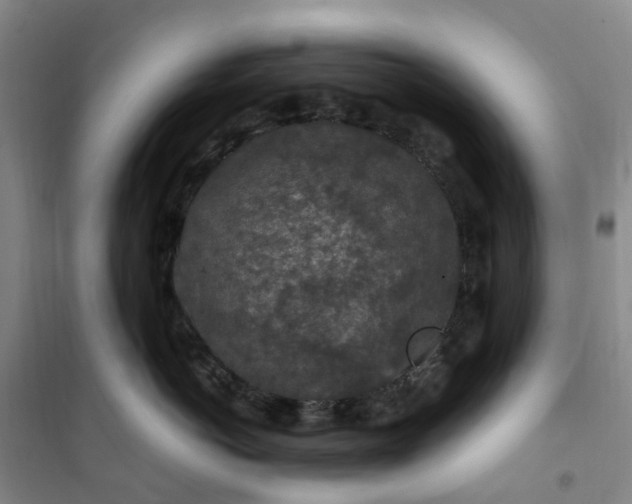 X0000101090766200807101548