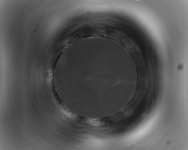 X0000101090767200807101548