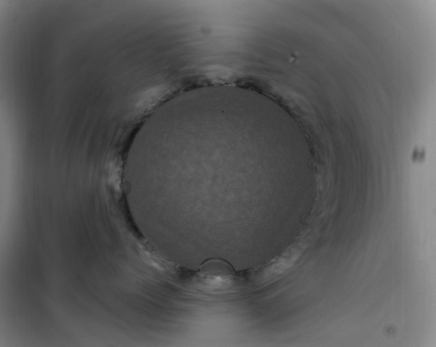 X0000101090768200807101548