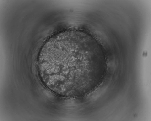 X0000101090769200807101548