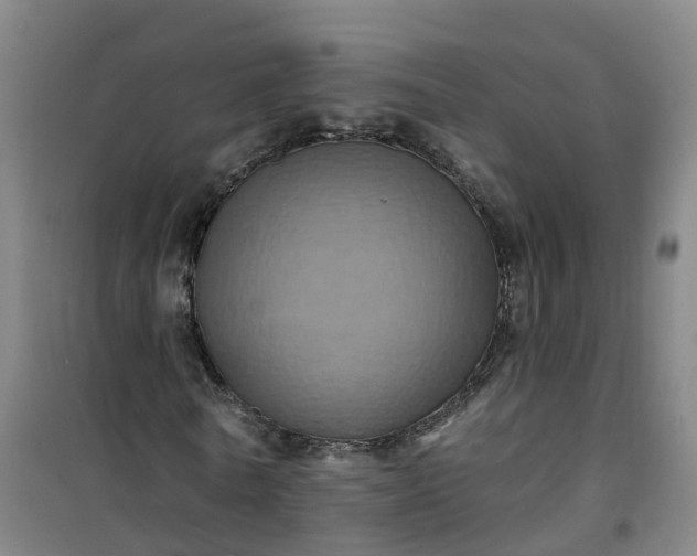 X0000101090770200807101548