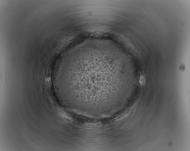 X0000101090771200807101548