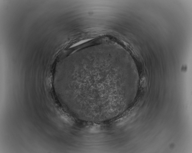 X0000101090772200807101548