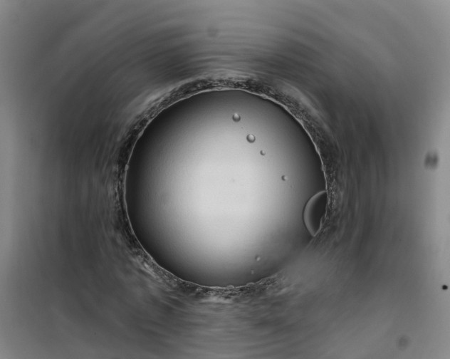 X0000101090773200807101548