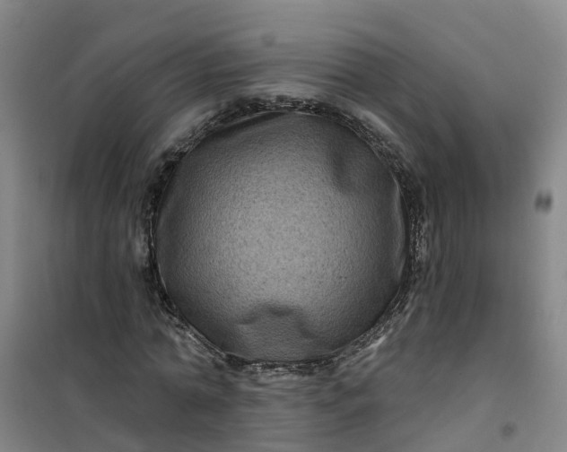 X0000101090774200807101548