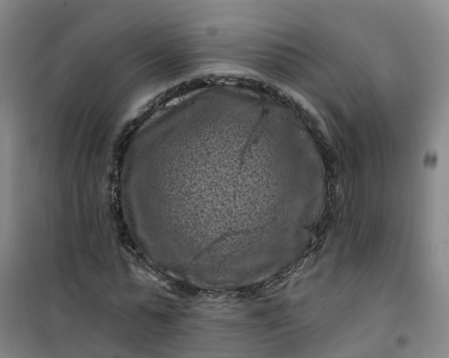 X0000101090775200807101547