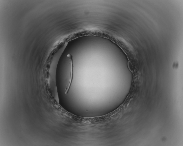 X0000101090776200807101547