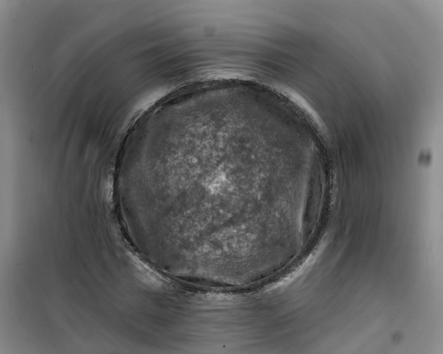 X0000101090777200807101547