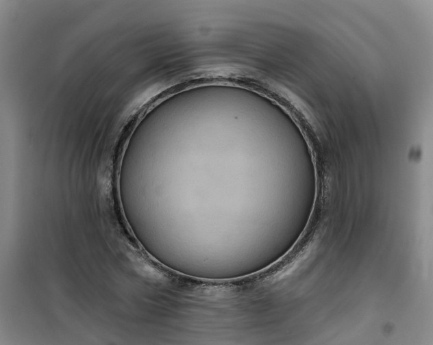 X0000101090778200807101547