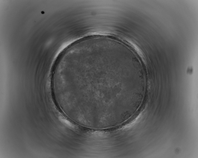 X0000101090779200807101547