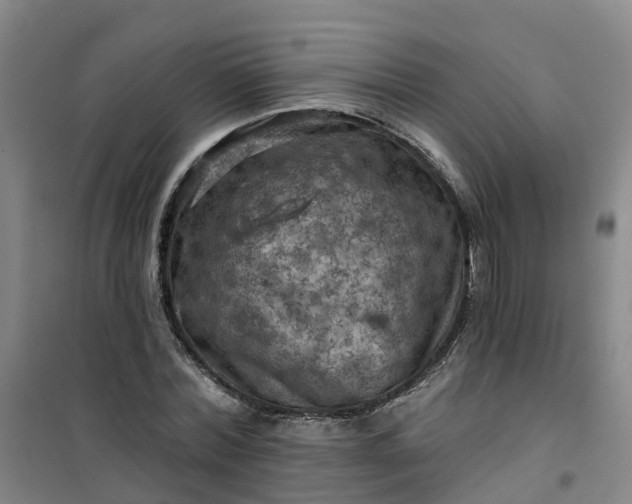 X0000101090780200807101547