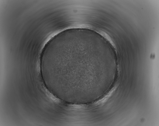 X0000101090781200807101547