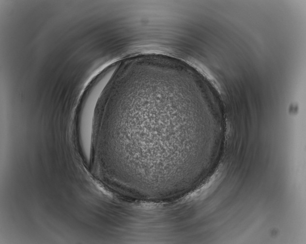 X0000101090782200807101547