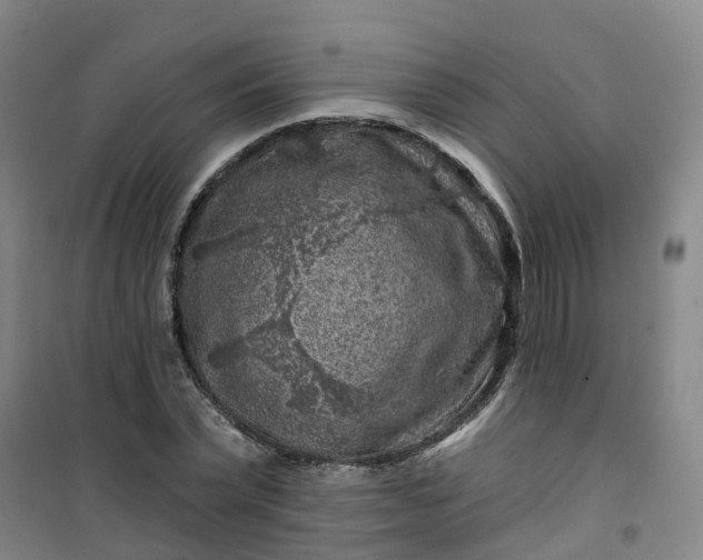 X0000101090783200807101547