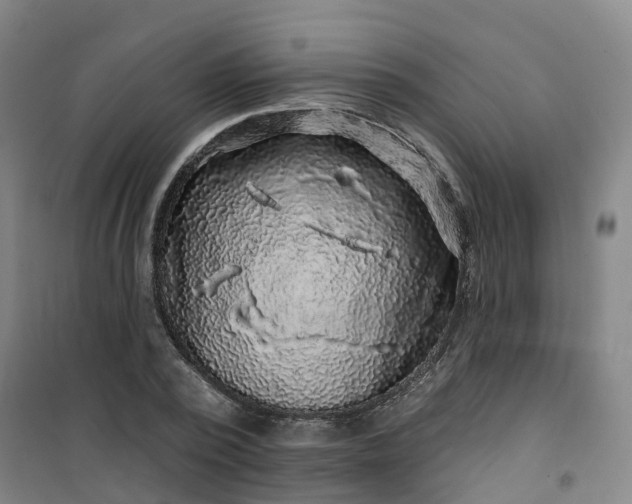 X0000101090784200807101547