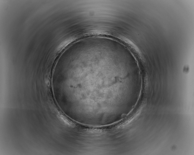 X0000101090785200807101547