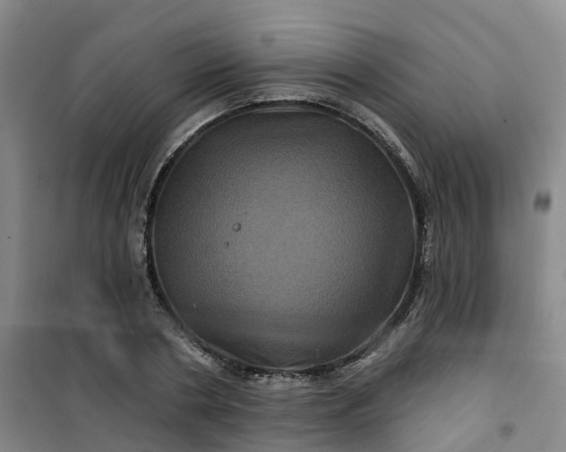 X0000101090786200807101547