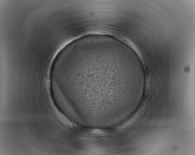 X0000101090787200807101547