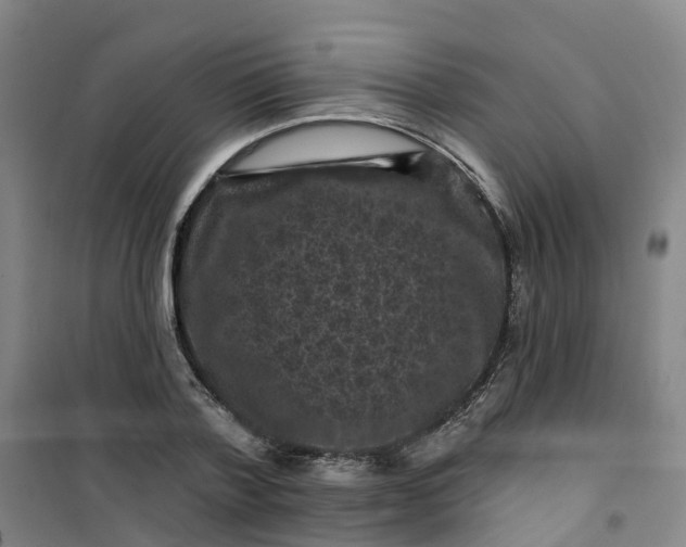 X0000101090788200807101547