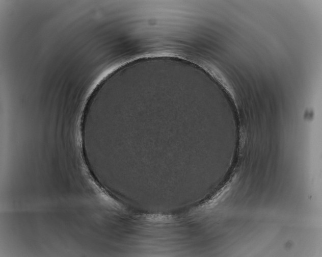 X0000101090789200807101547