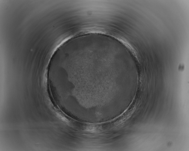 X0000101090790200807101547