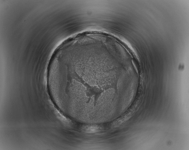 X0000101090791200807101547