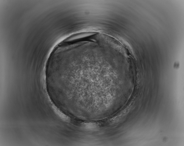 X0000101090792200807101547