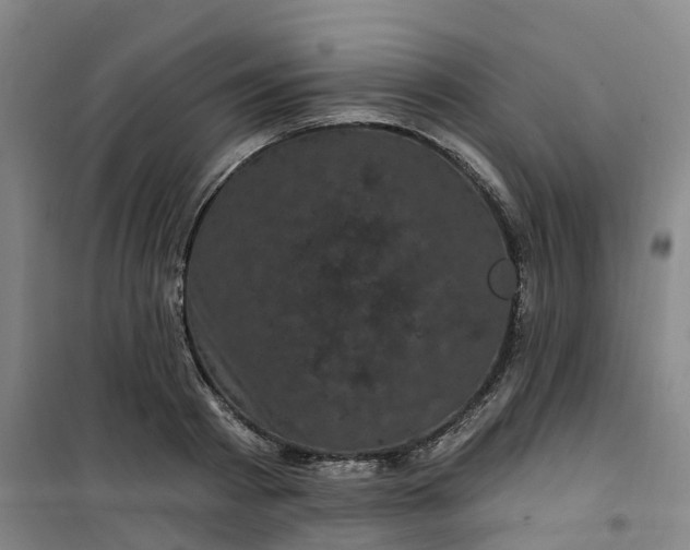 X0000101090793200807101547