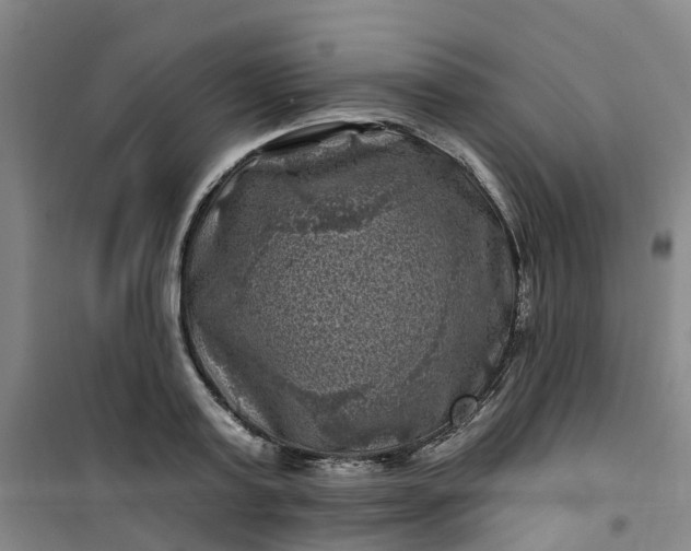 X0000101090795200807101547