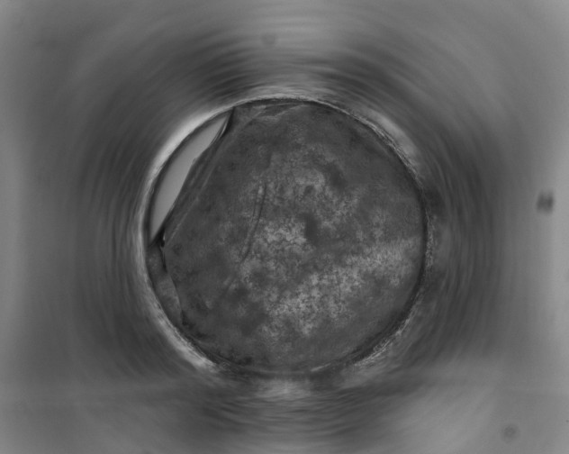 X0000101090796200807101547