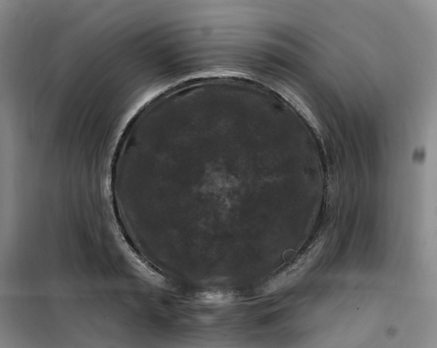 X0000101090797200807101547