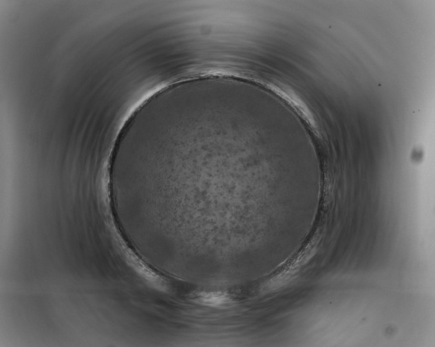 X0000101090798200807101547