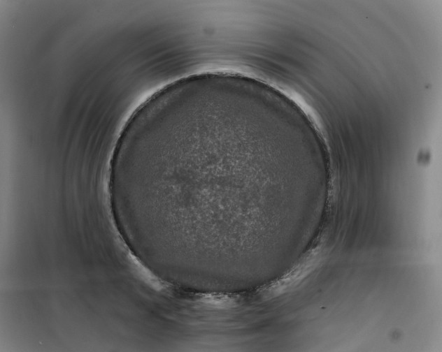 X0000101090799200807101547