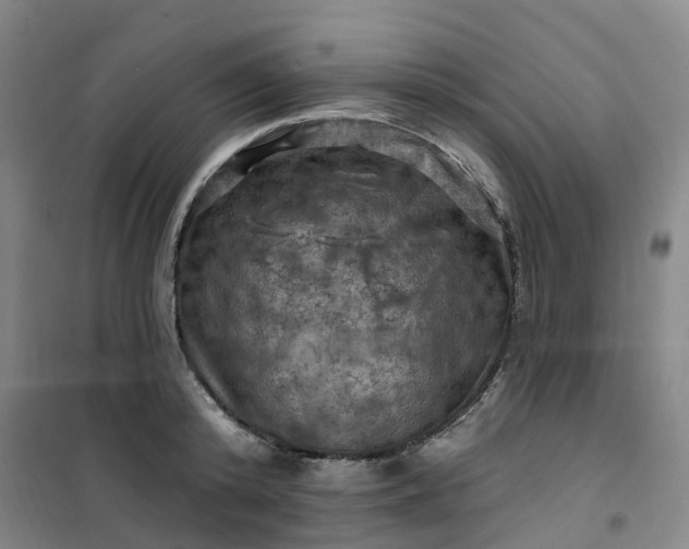 X0000101090800200807101547