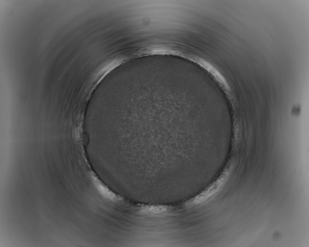 X0000101090801200807101547