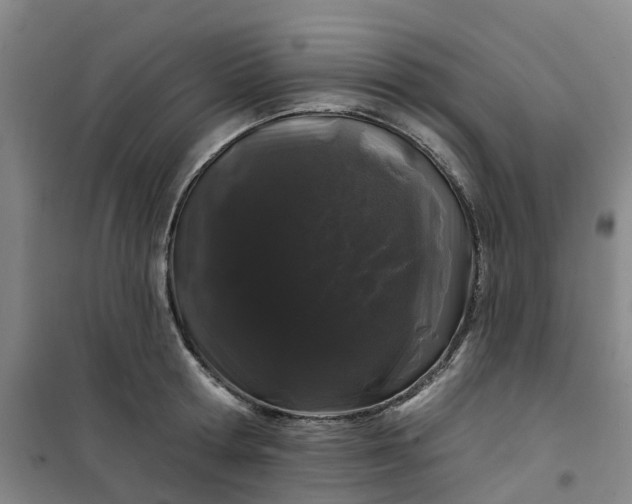 X0000101090802200807101547